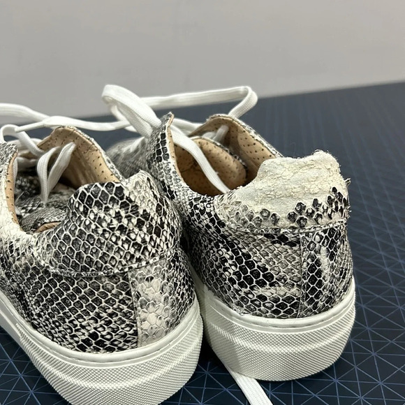 Sister  x Soeur Leyla Snake Platform Sneaker New in Box - Picture 5 of 11